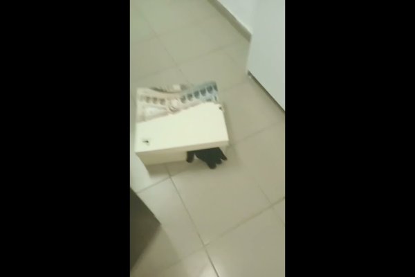 Кракен маркетплейс работает